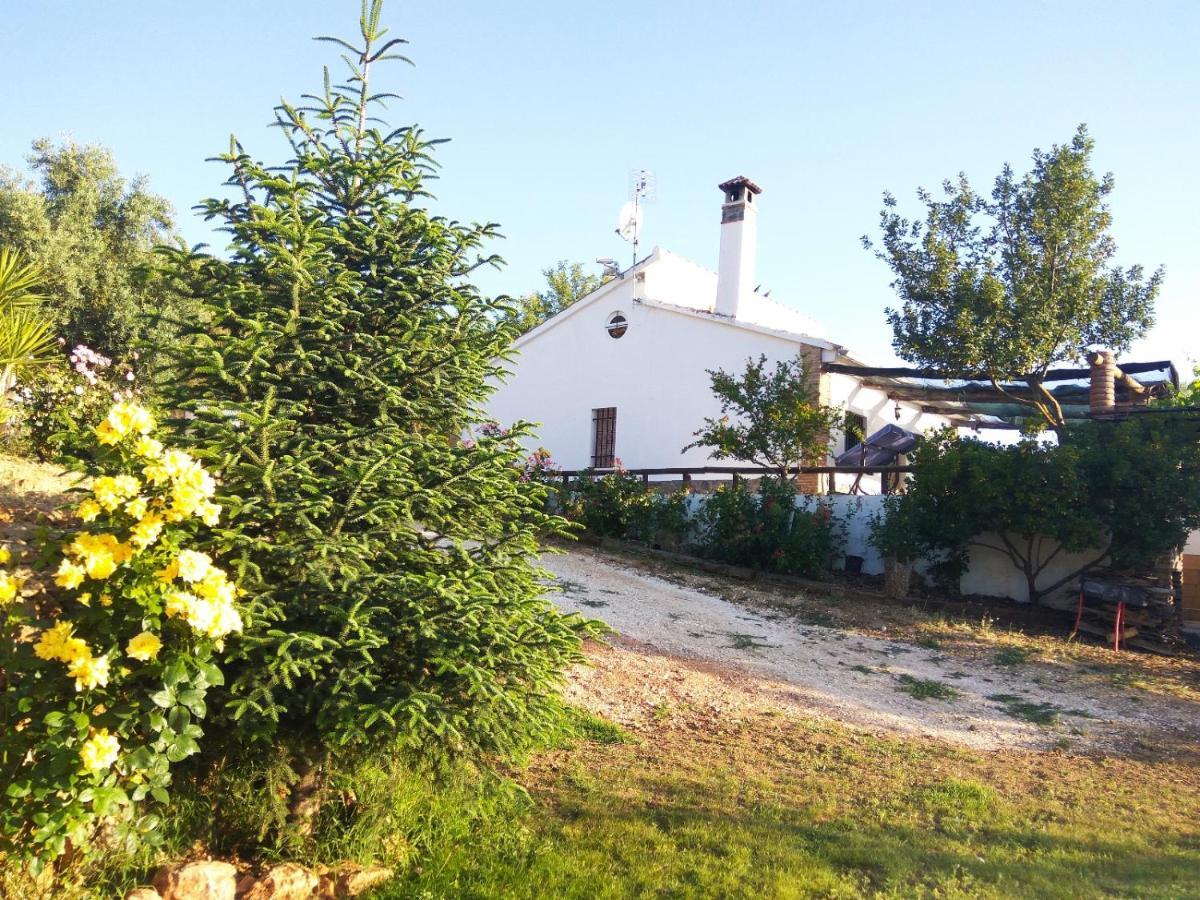 Casa Rural Bellavista รอนดา ภายนอก รูปภาพ