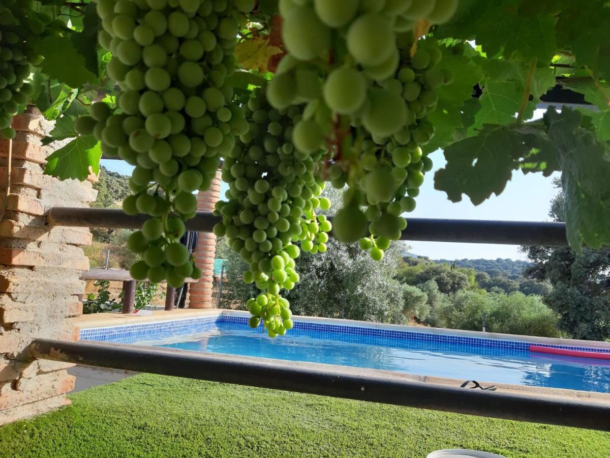 Casa Rural Bellavista รอนดา ภายนอก รูปภาพ